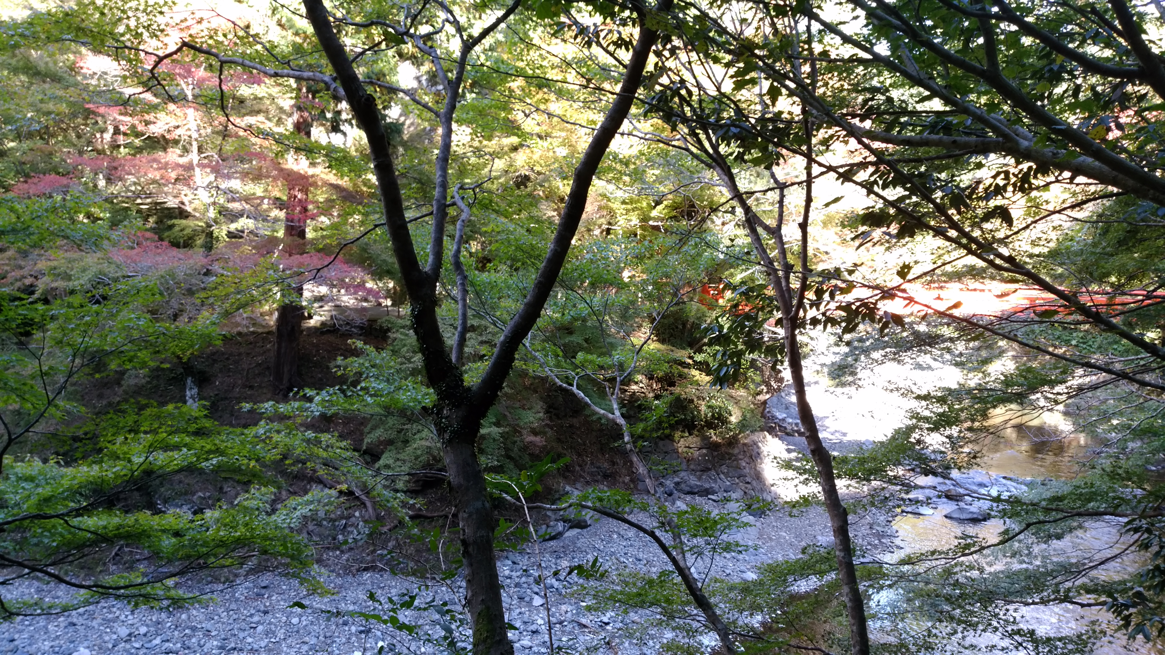 10月末の高雄