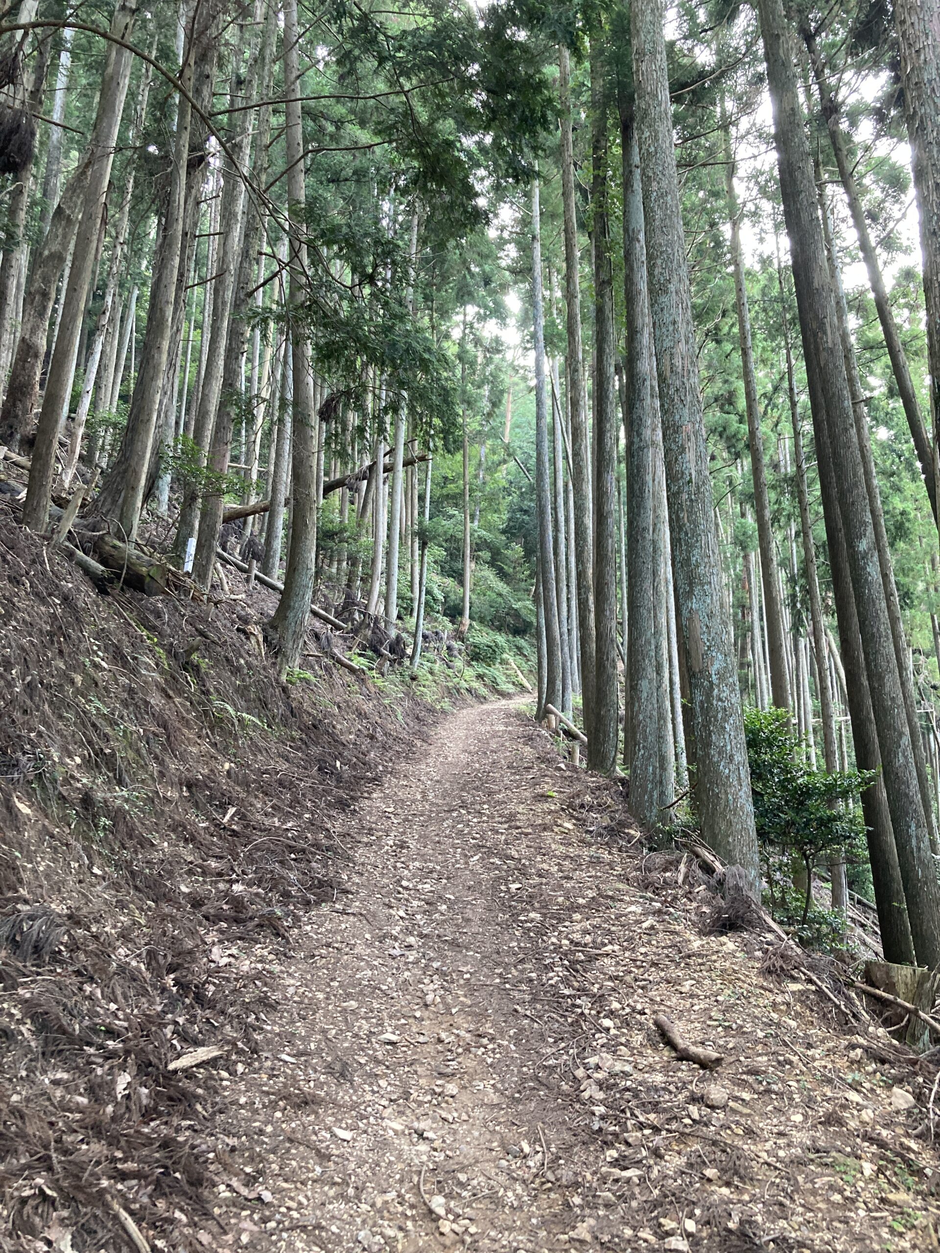 【令和4年7月31日 千日詣り】水尾から登る愛宕神社（愛宕山）