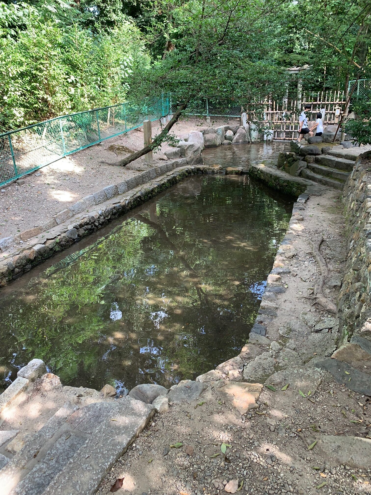 木嶋神社糺す池の御手洗行事が行われました。