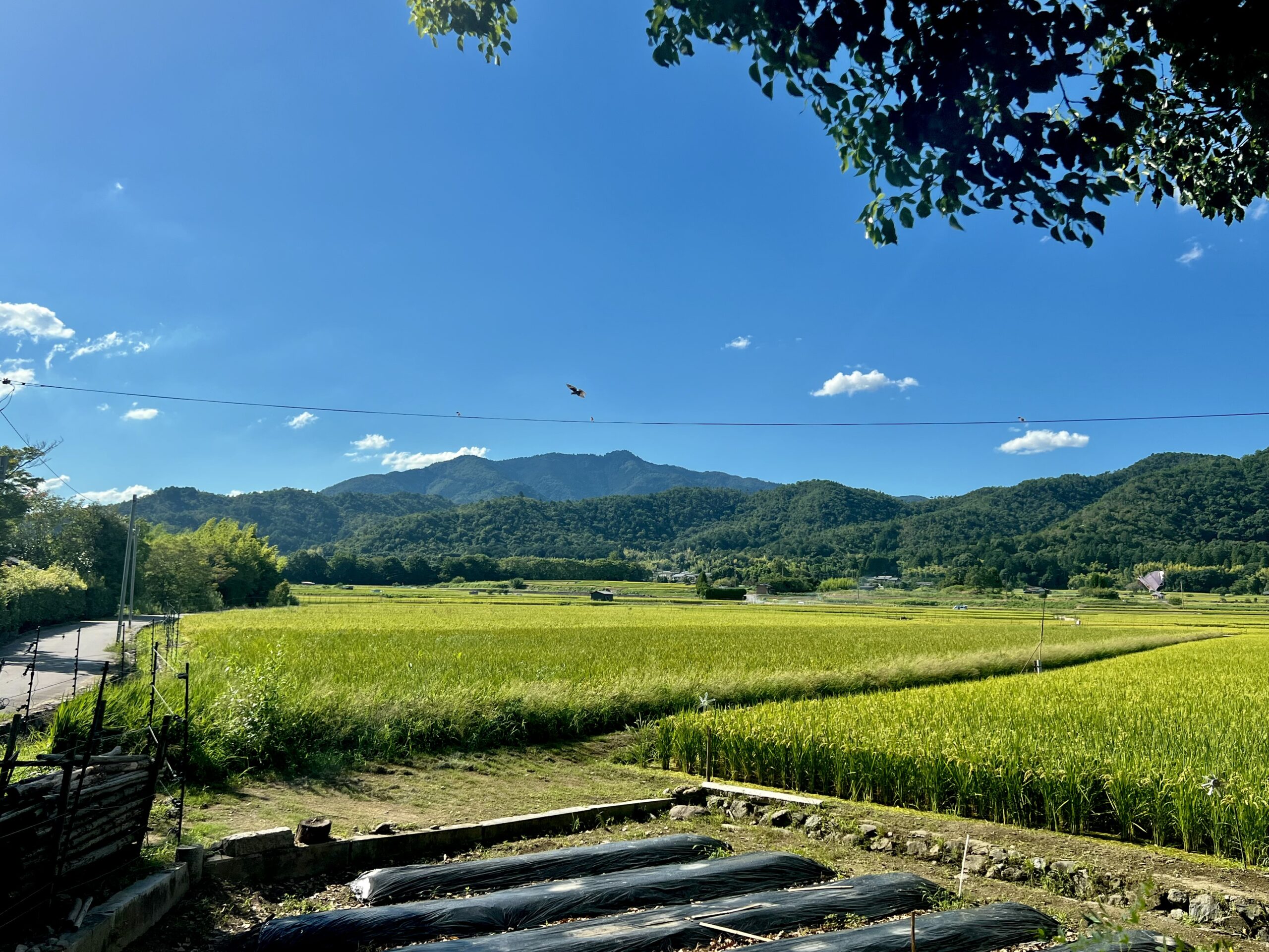 日常が染み込んだ美しい風景