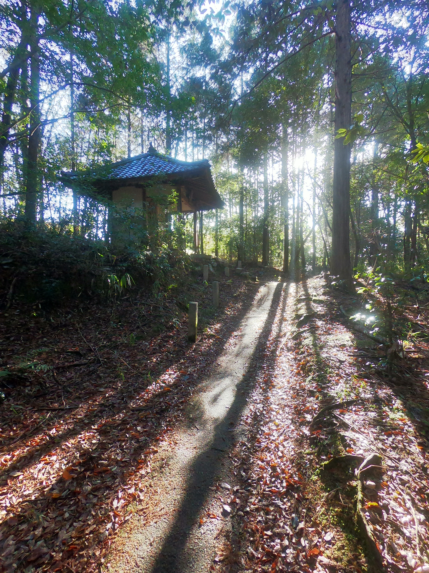 新年は御室八十八か所へ