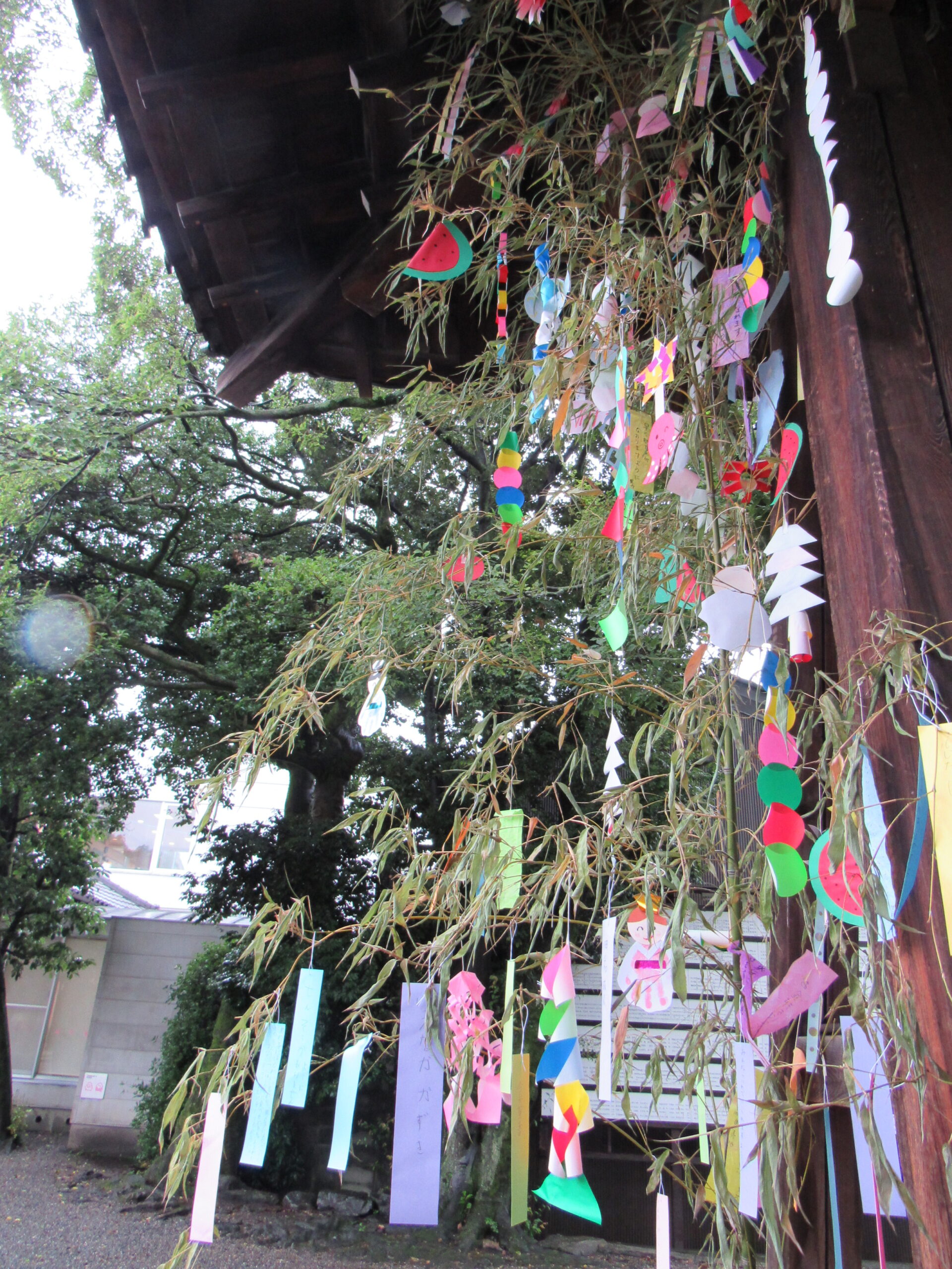 右京の歳時記（七夕）右京の歳時記　７月