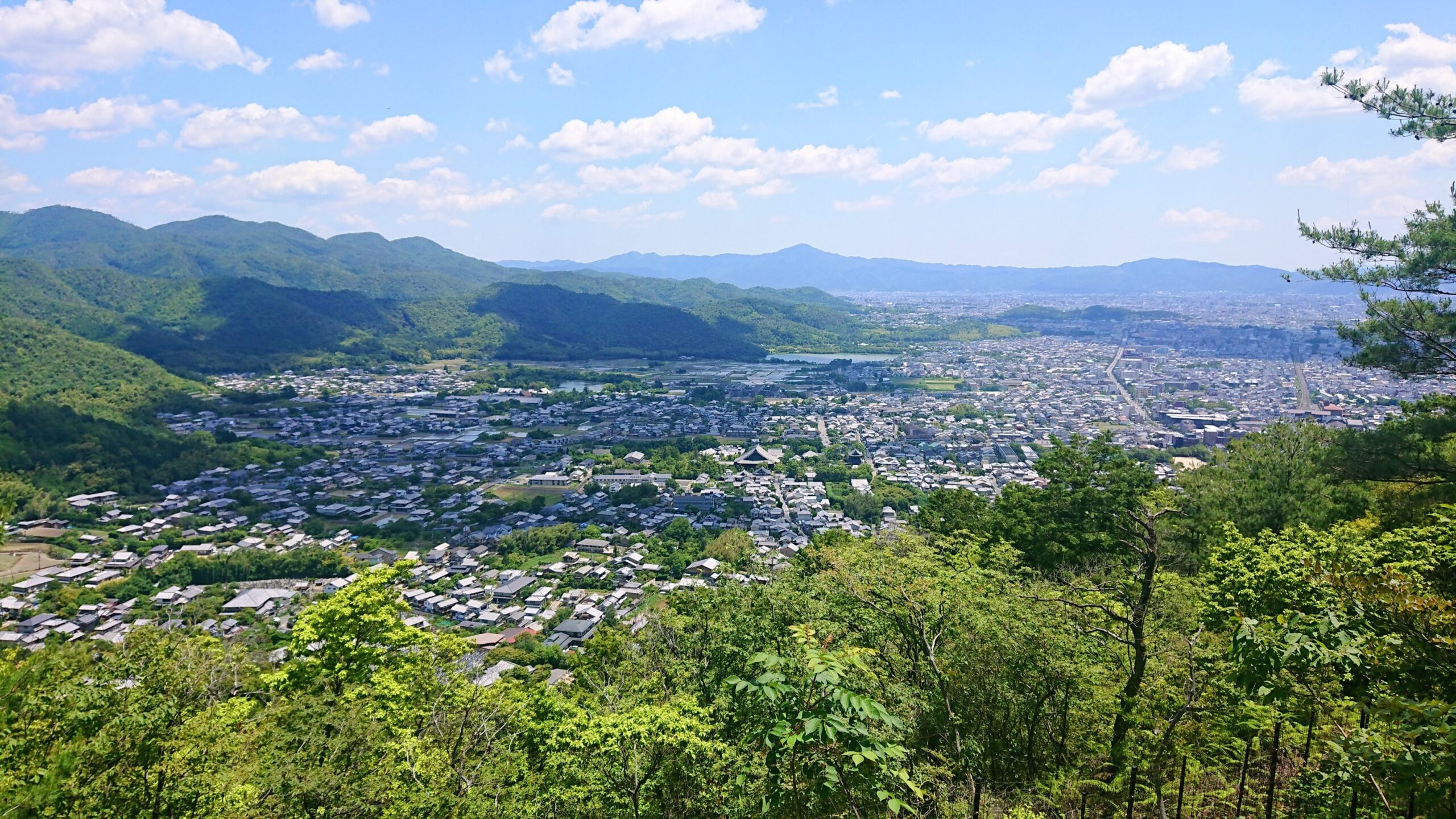 『小倉山展望台 2024夏』