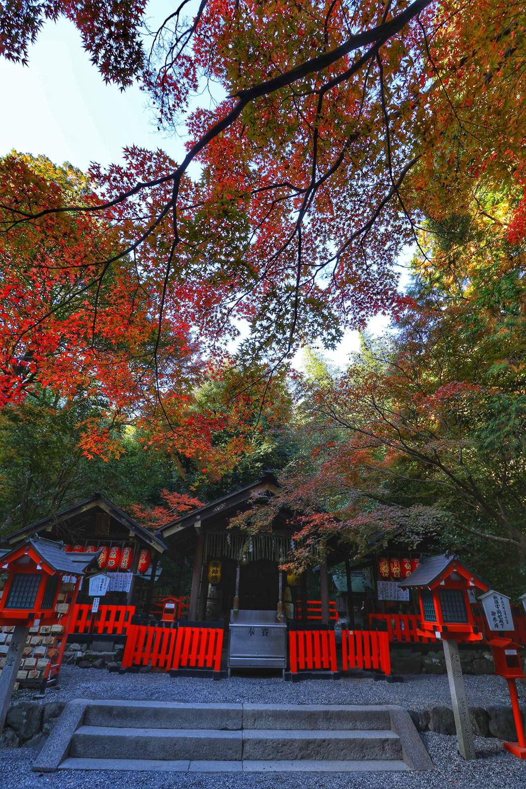 💡京都の本気💡