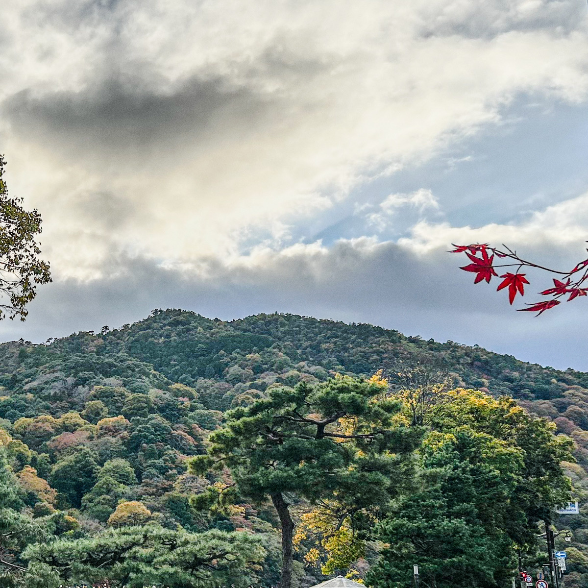 今回は京都の紅葉について紹介します。