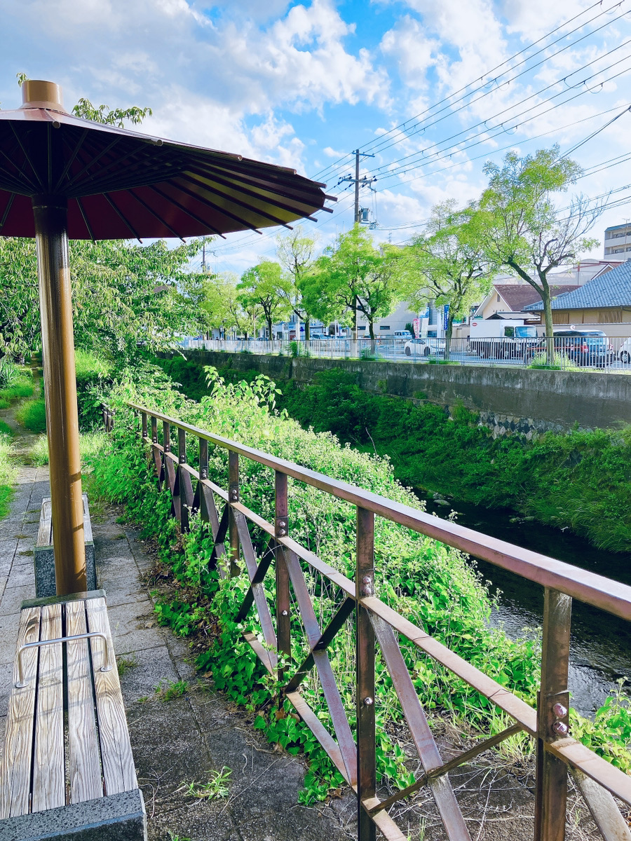 右京さんぽ🚶 〜夏の終わりと読書の秋〜