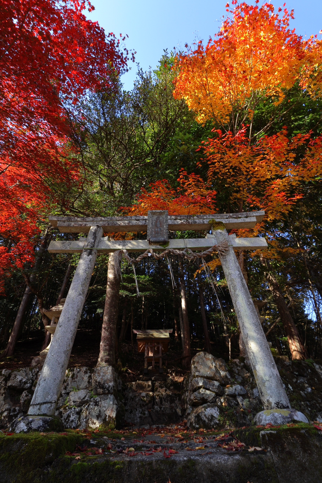 『日吉神社』