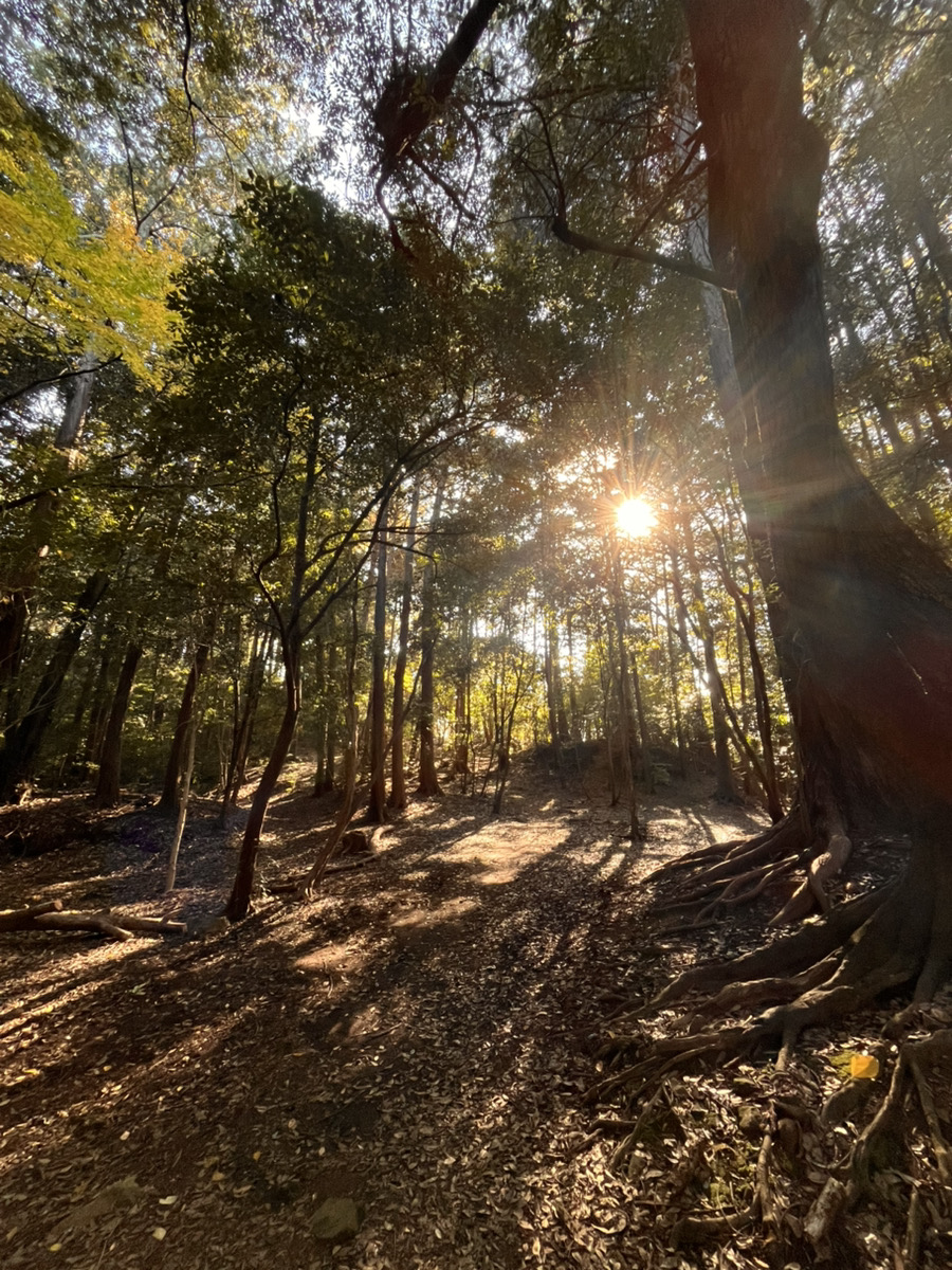 雙ヶ岡/双ヶ丘⛰👣