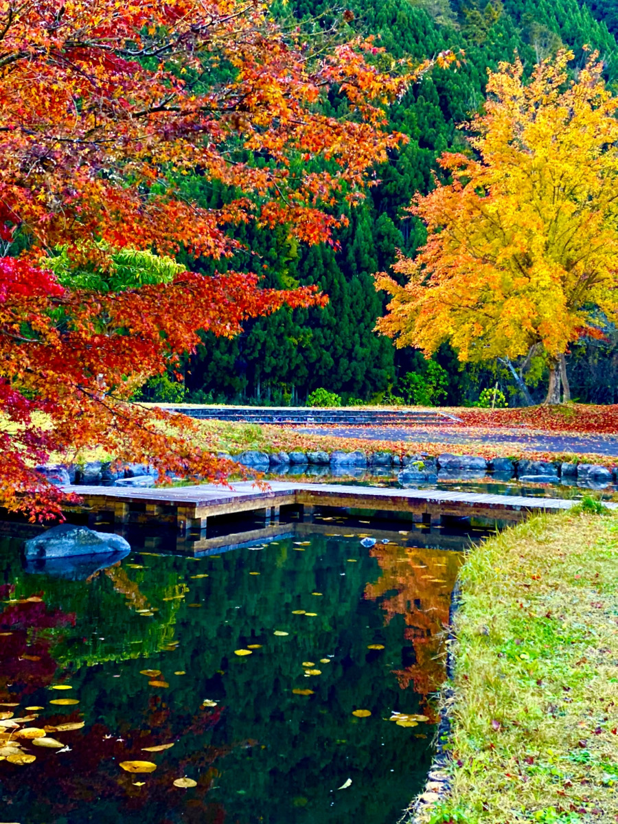鯖寿司大博覧会&京北マルシェ