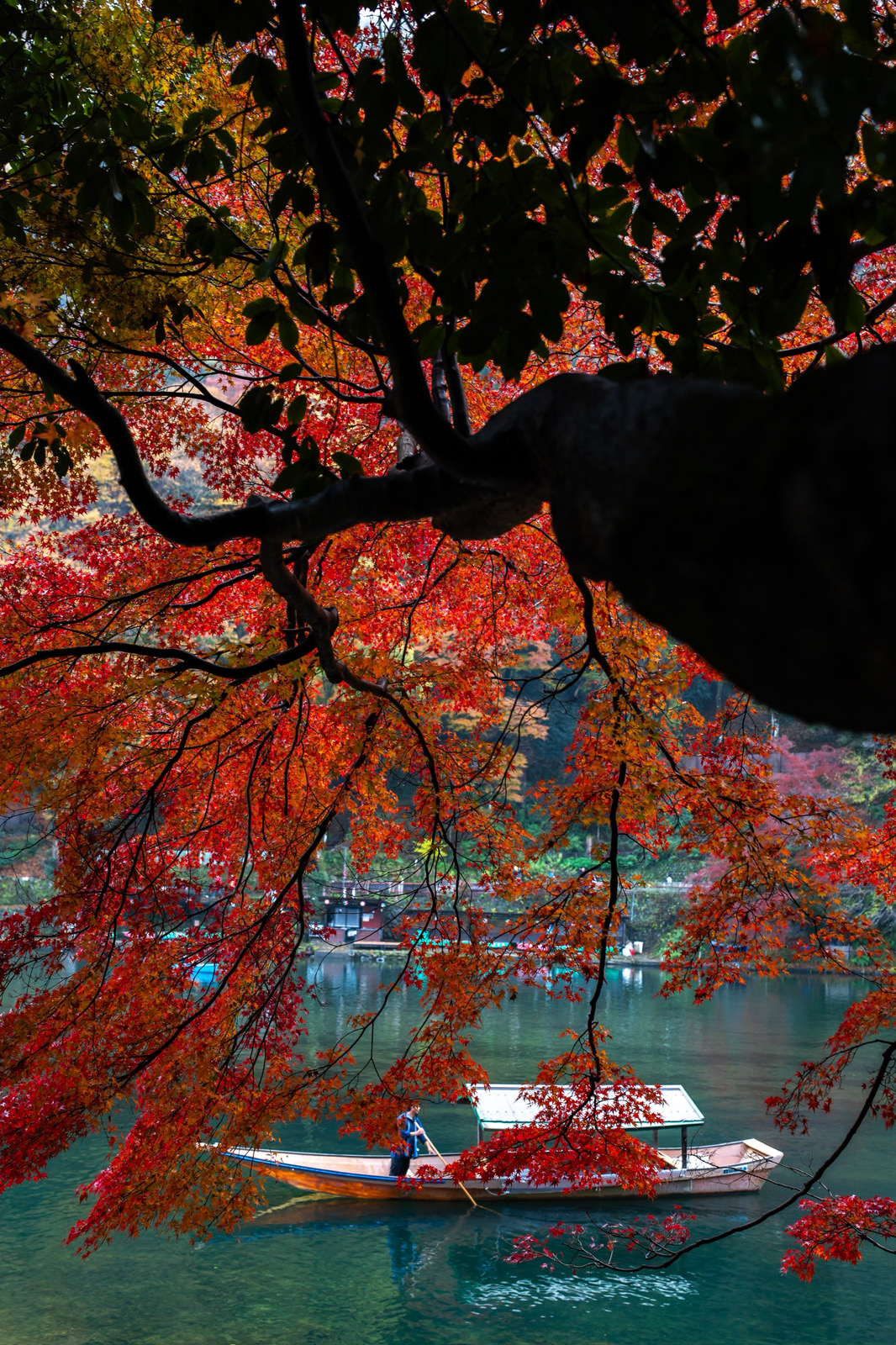 右京区・嵐山の『色々な乗り物』