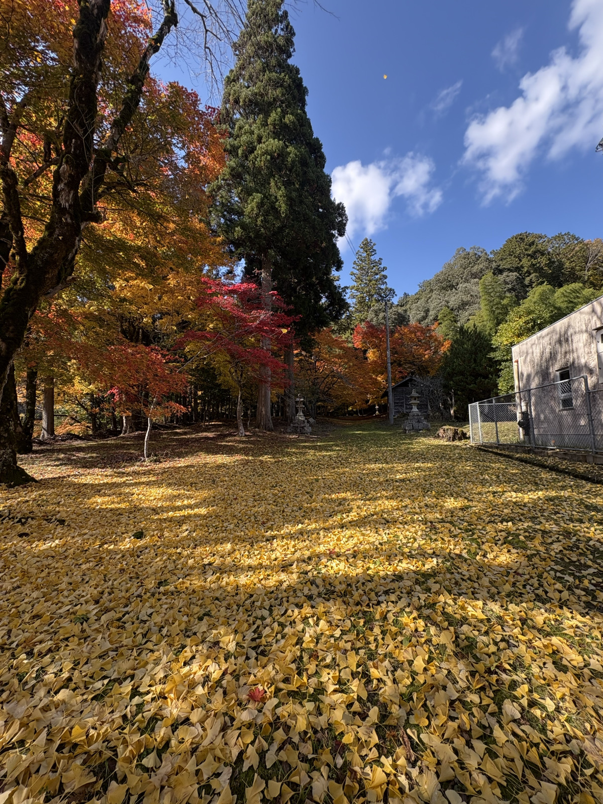 ⭐︎もう一つの日吉神社⭐︎