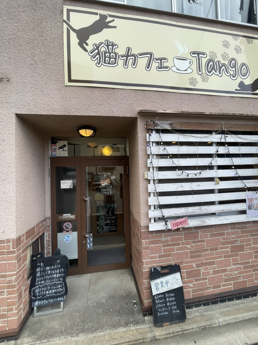 🐱✨京都・右京区にある猫カフェ Tango（タンゴ）