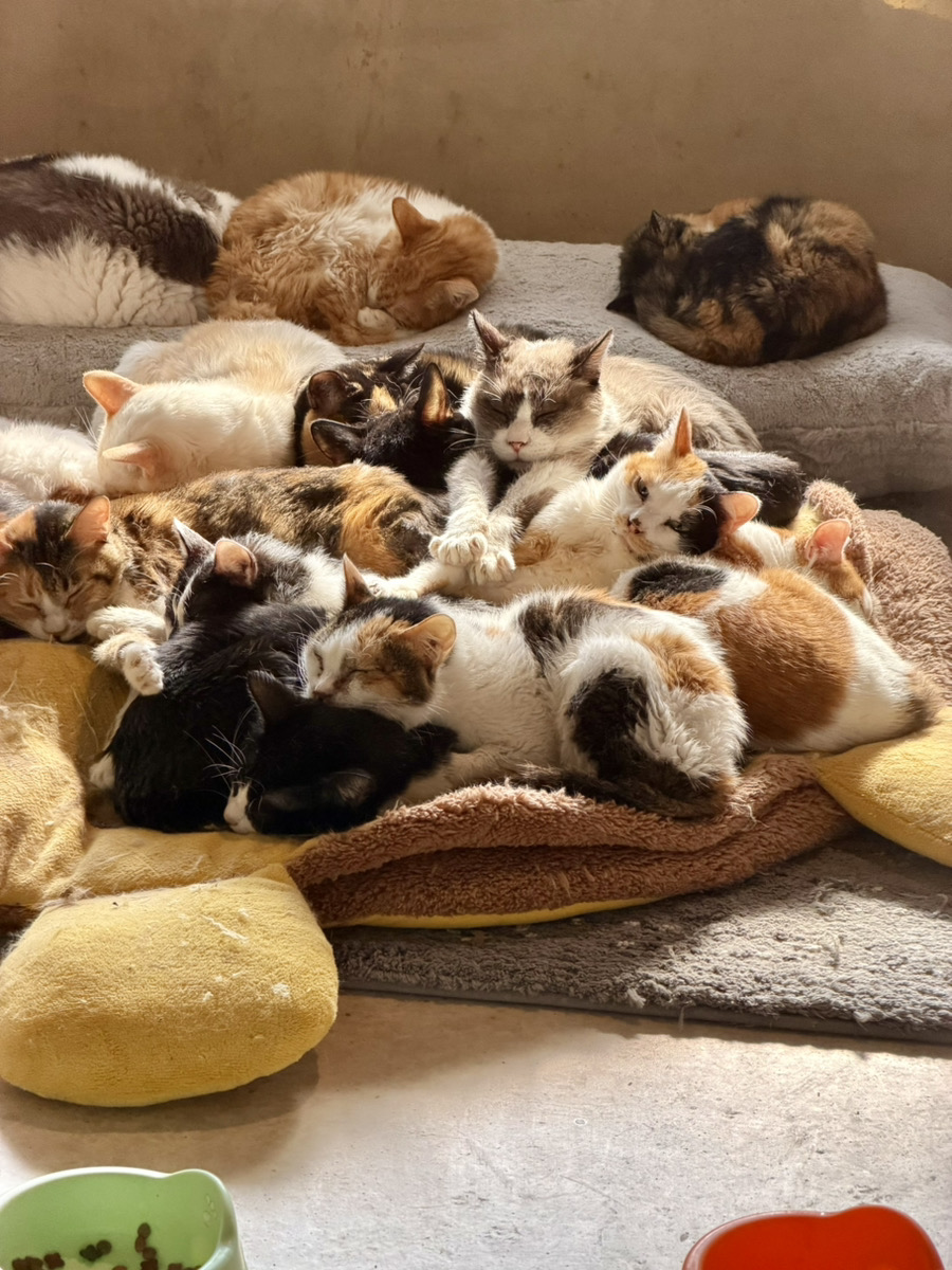 ひげまるカフェ