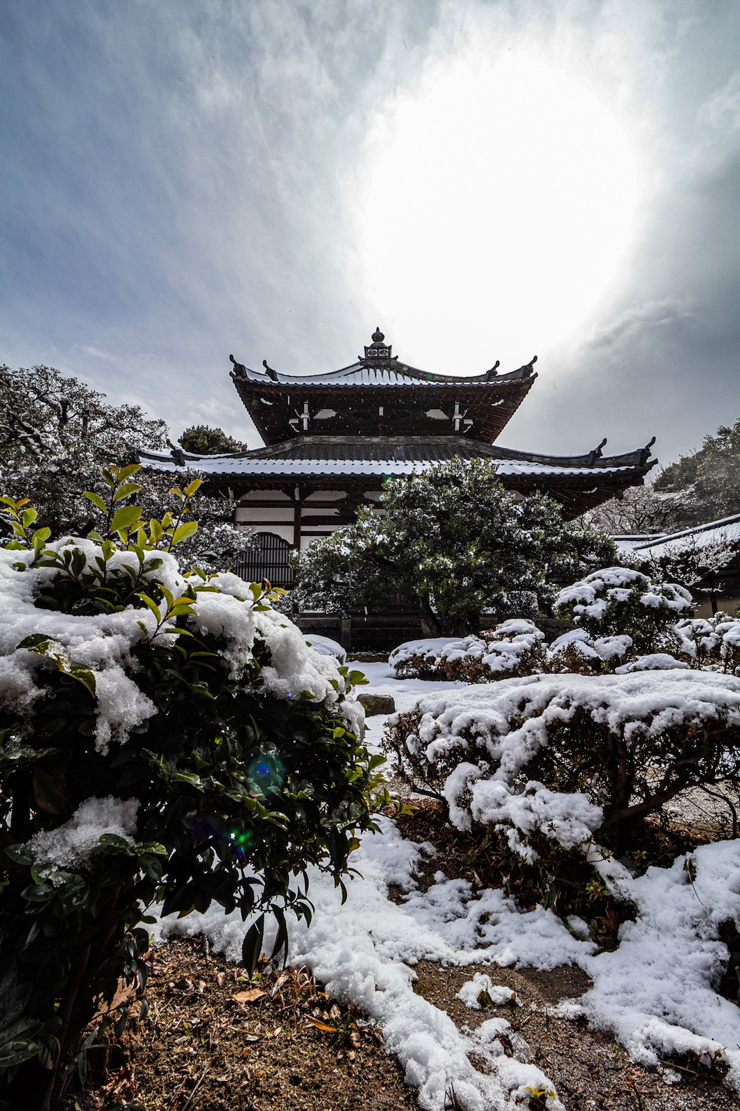 鹿王院の雪景色